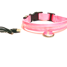 Load image into Gallery viewer, Amazing Pups LED USB Rechargeable Nylon Dog Collar
