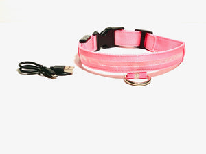 Amazing Pups LED USB Rechargeable Nylon Dog Collar