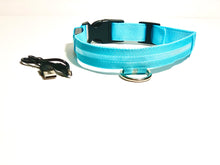 Load image into Gallery viewer, Amazing Pups LED USB Rechargeable Nylon Dog Collar
